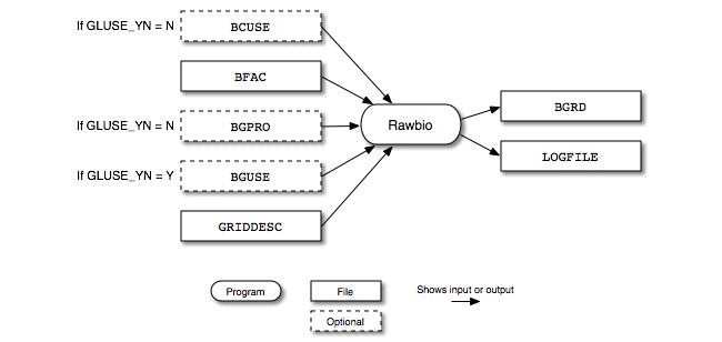 Rawbio input and output files